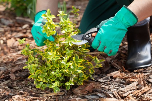 Inspectors conducting a supplier audit at a landscaping supplier site